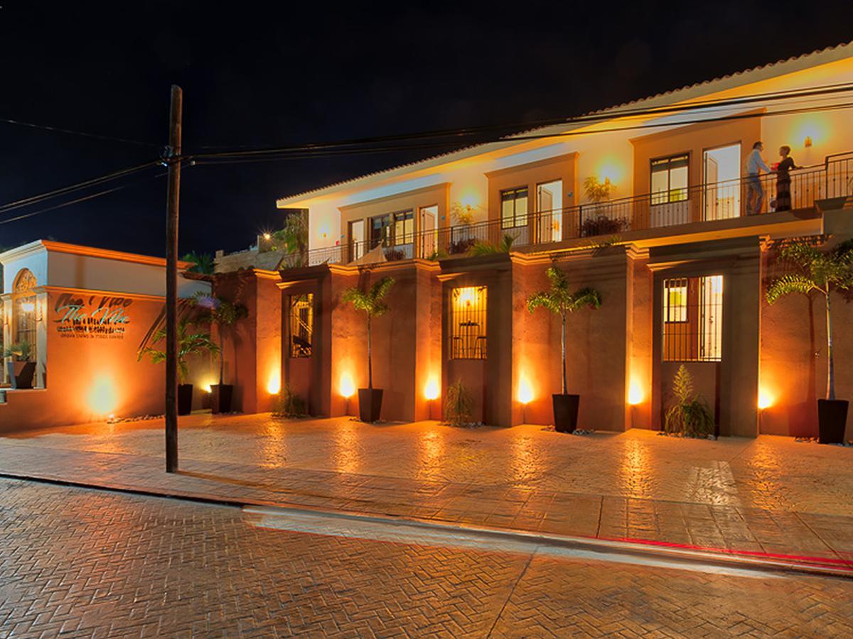 The Vibe Boutique Bed & Breakfast (Adults Only) Todos Santos Zewnętrze zdjęcie